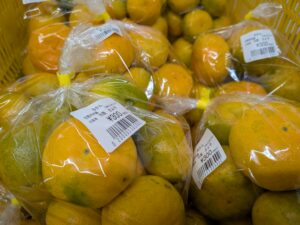 極早生みかん🍊